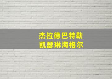 杰拉德巴特勒 凯瑟琳海格尔